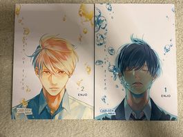 Manga: Depth of Field Vol 1+2