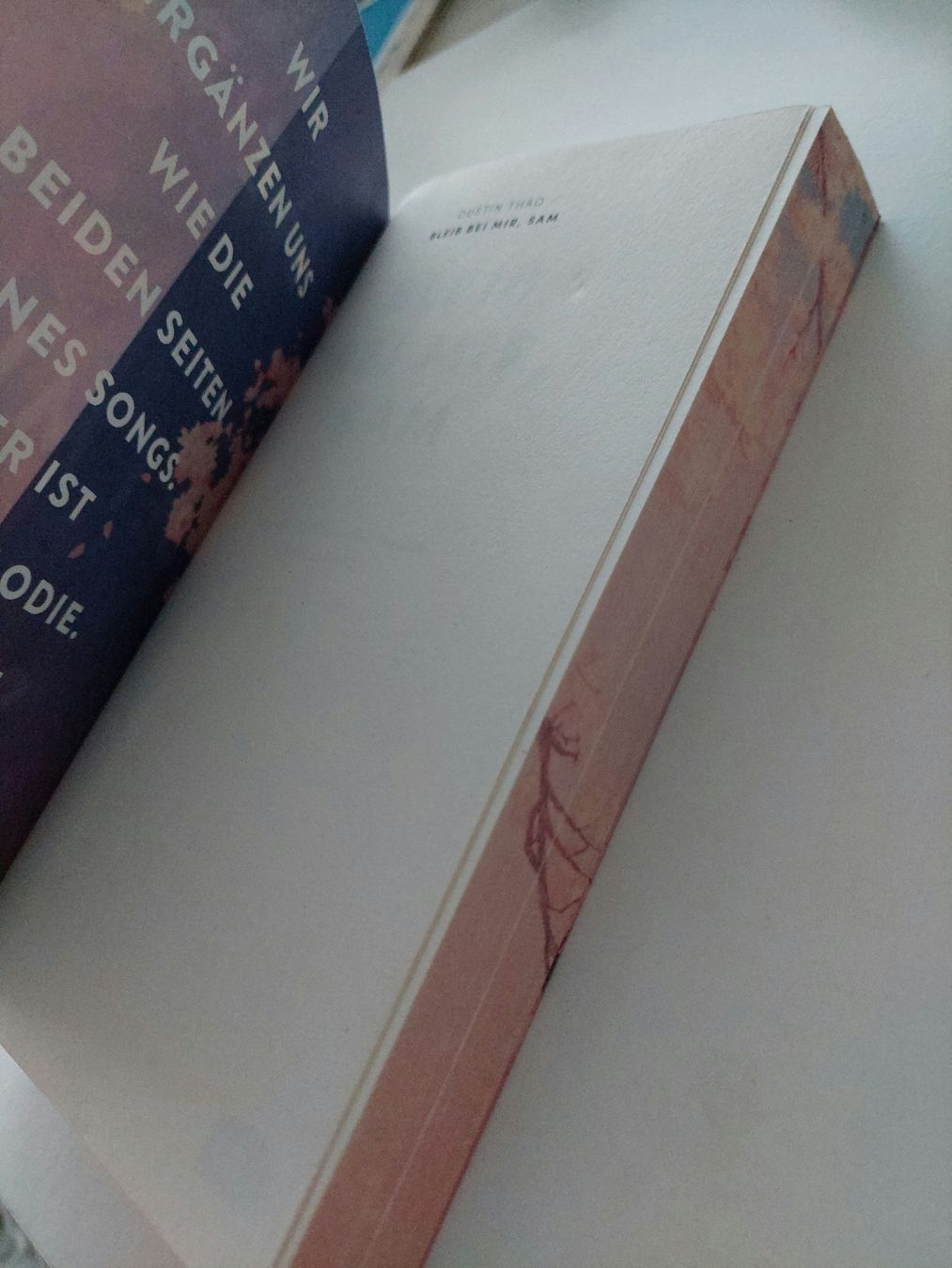 Libri: Bleib bei mir, Sam - Dustin Thao – Usato da Neftenbach venduto da Joyvdberg 2