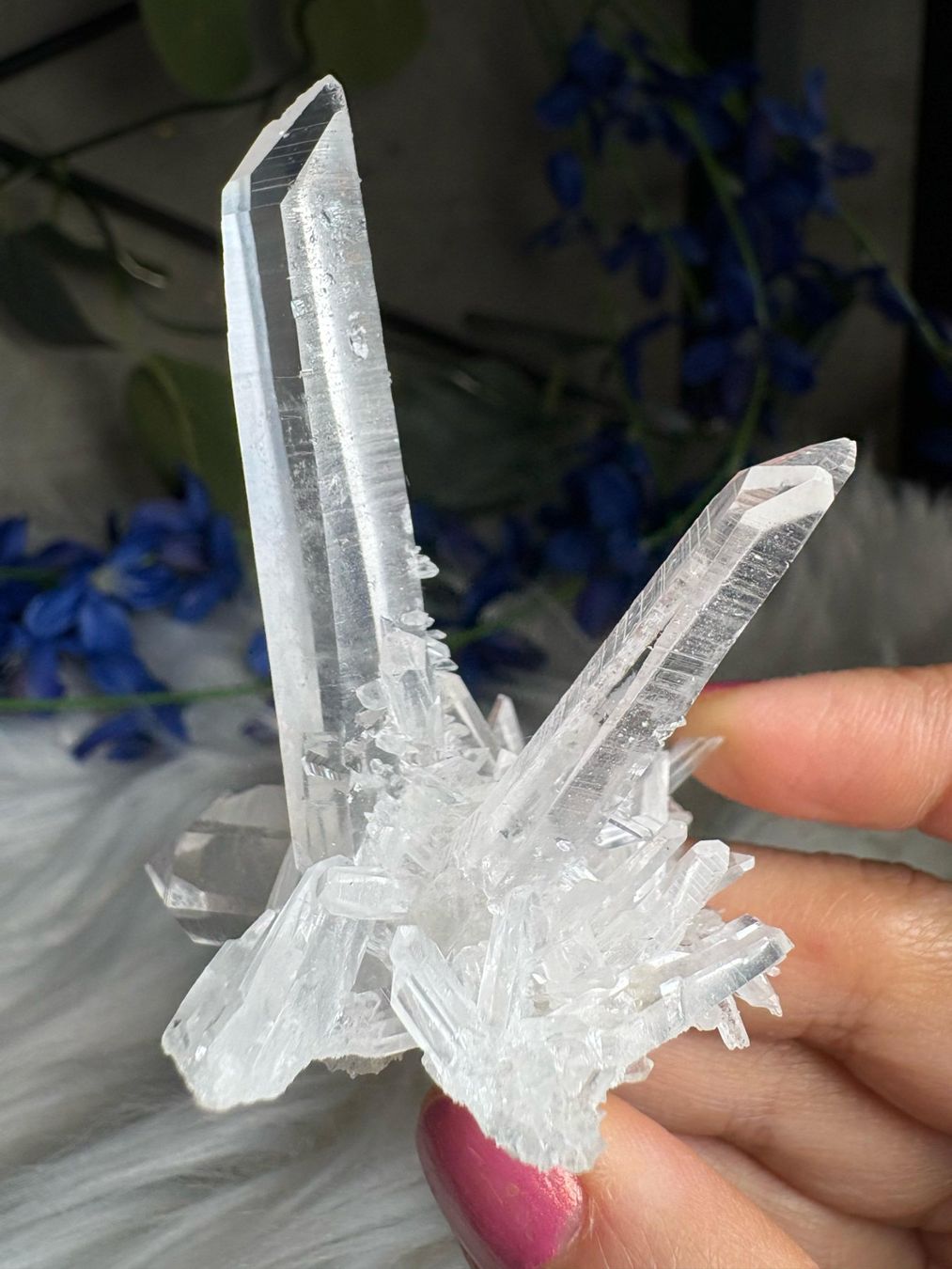 Mineralien & Heilsteine: Kolumbianischer Lemurian-Quarz-Cluster – Neu (gemäss Beschreibung) aus Neuheim von m.hald 2
