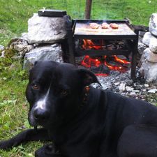 Profile image of amon85