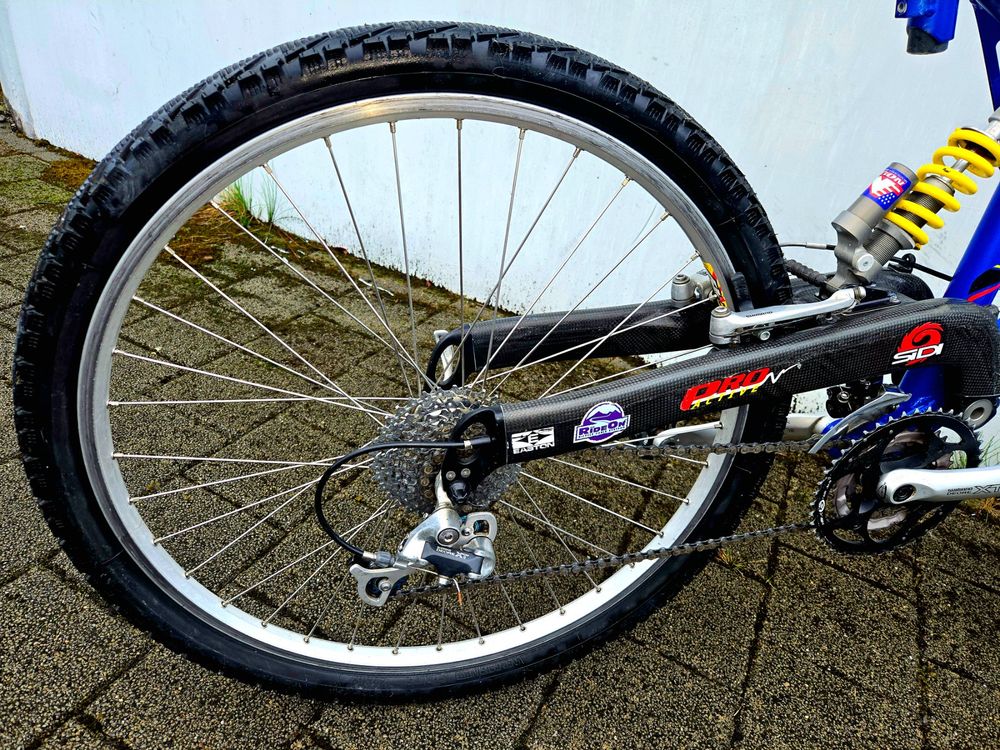 rennrad rose Red Bull Red Rose  Der ReCyclist