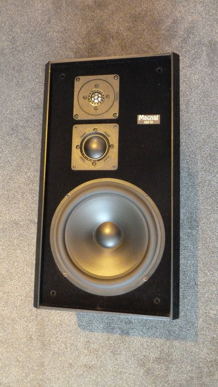 Magnat Casse acustiche: Magnat MSP 170 – Usato da Würenlingen venduto da Schneiderhifi 1