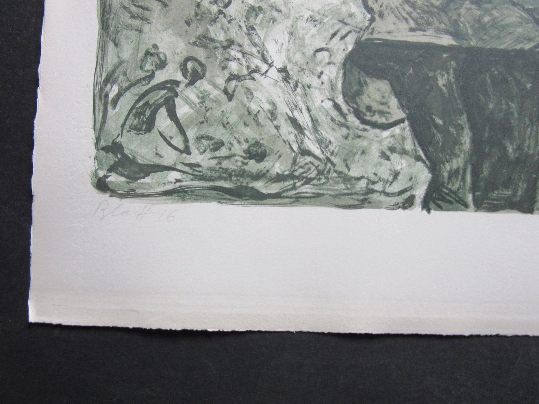 Arts picturaux & lithographies: DIGGELMANN ALEX WALTER  SIGNIERT NUMMERIERT – D'occasion à Gersau par grafik-kunst 2