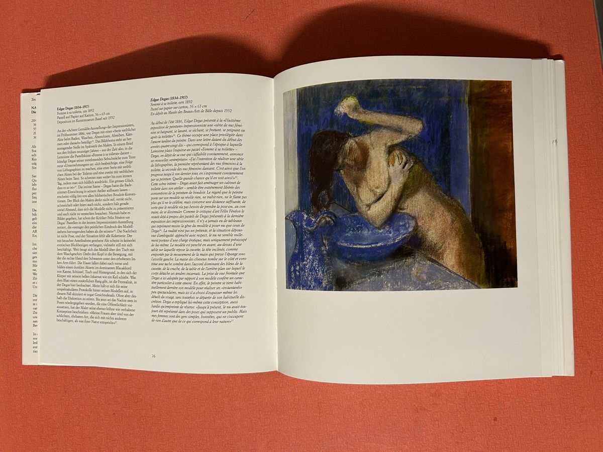 Libri: Rudolf Staechelin - Die Sammlung - Kunstbuch – Usato da Lanzenhäusern venduto da vic63 7