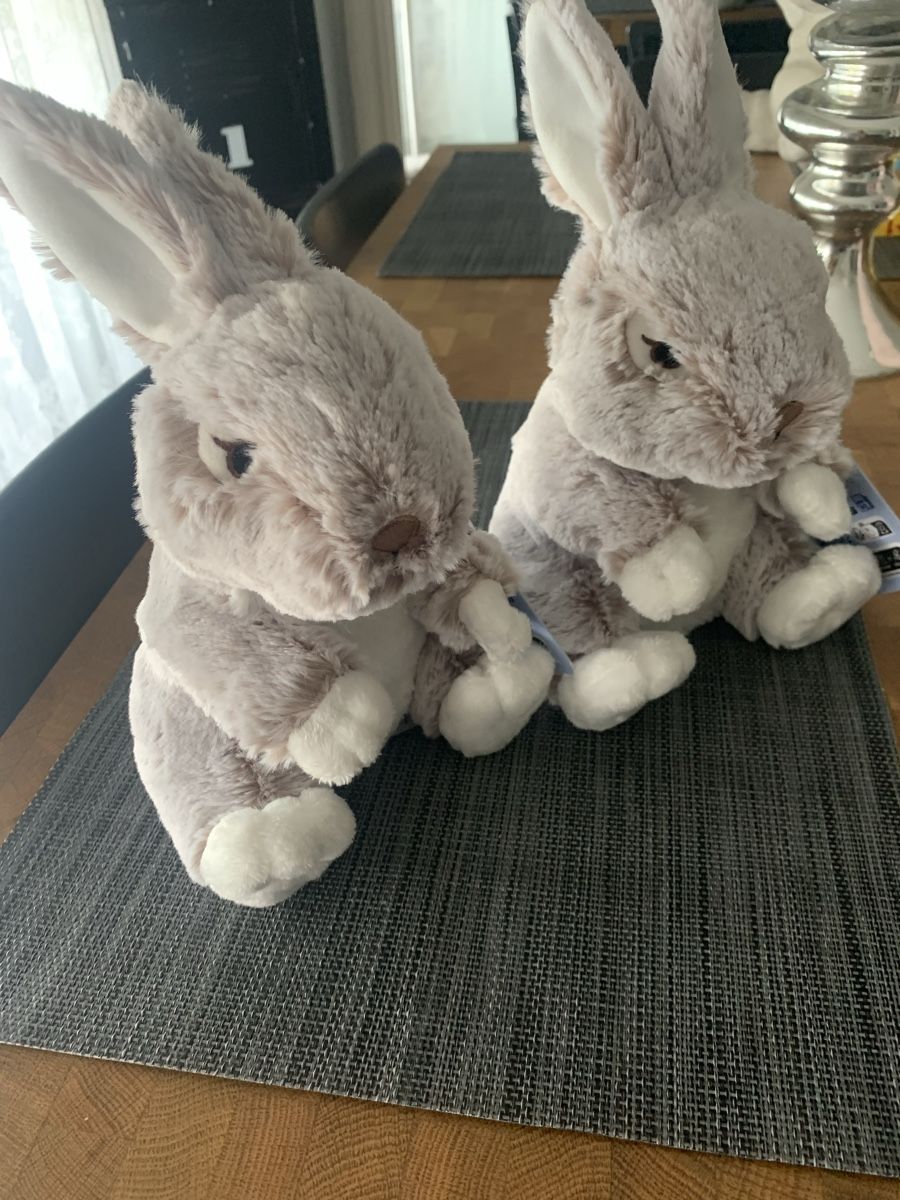 Giocattoli: Schneehase Plüsch – Nuovo (secondo la descrizione) da Emmen venduto da Bgucci_girl