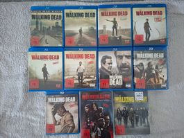 THE WALKING DEAD STAFFEL 1 - 11 BR+DVD