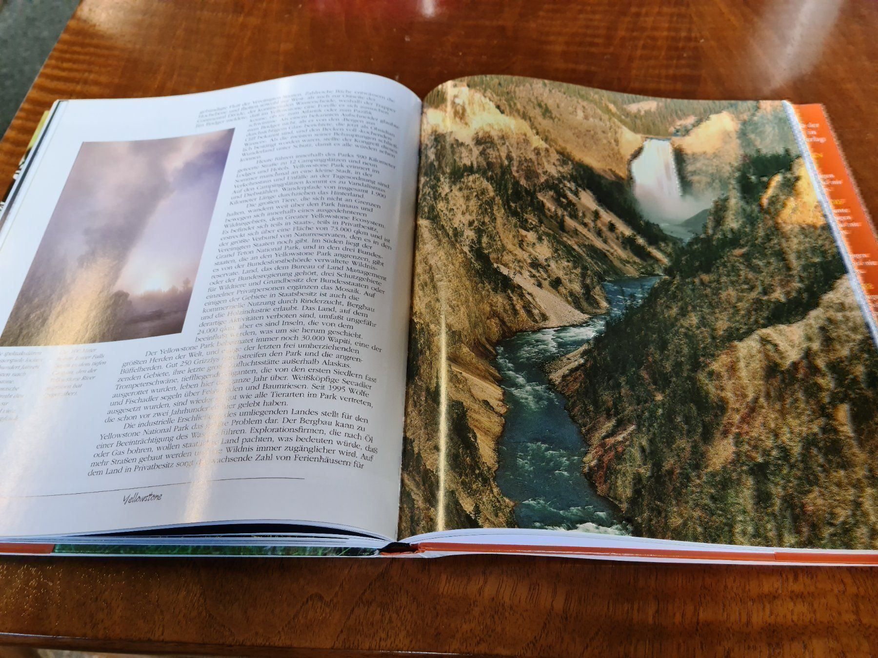 Libri: Abenteuer Wildnis – Usato da Erstfeld venduto da Uhu1980 3