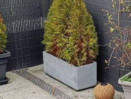 Kisten 🤩Töpfe 2 Stk.Garten - Balkon Masse 75 cmx25x25cm