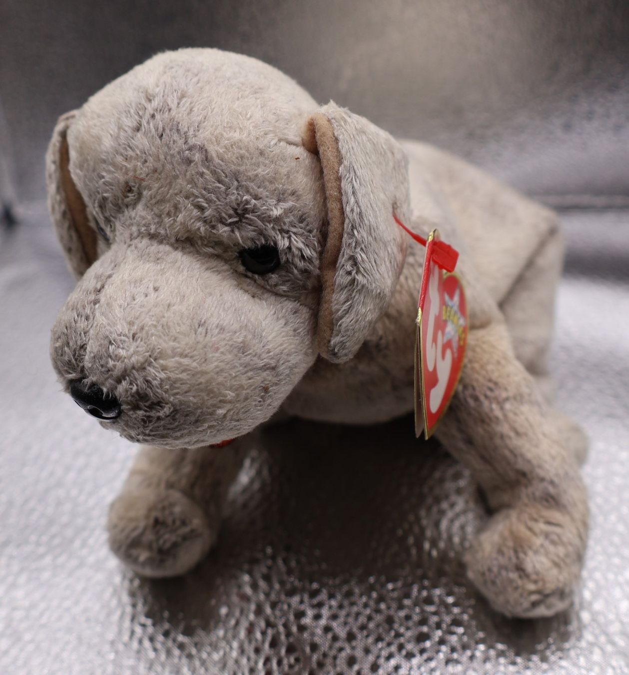 Ty Giocattoli: Ty Beanie Baby  TRICKS .. Geb.14.05.2000 – Usato da winterthur venduto da Beanieswis