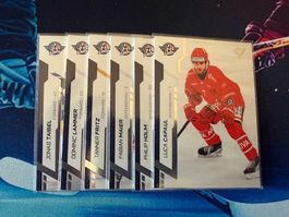 SportZoo Sammelkarten/Rapperswil/BaseSet