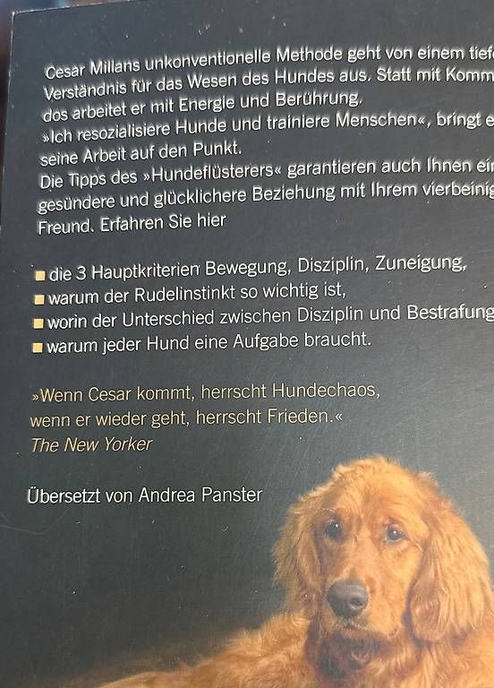 Bücher: Cesar Millan, Tipps vom Hundeflüsterer – Gebraucht aus Wallisellen von Versiva4 1