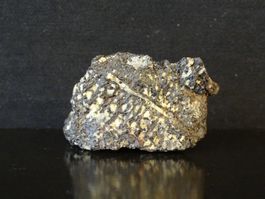 Versteinerter Dinosaurier Fossil KNOCHEN MONTANA USA