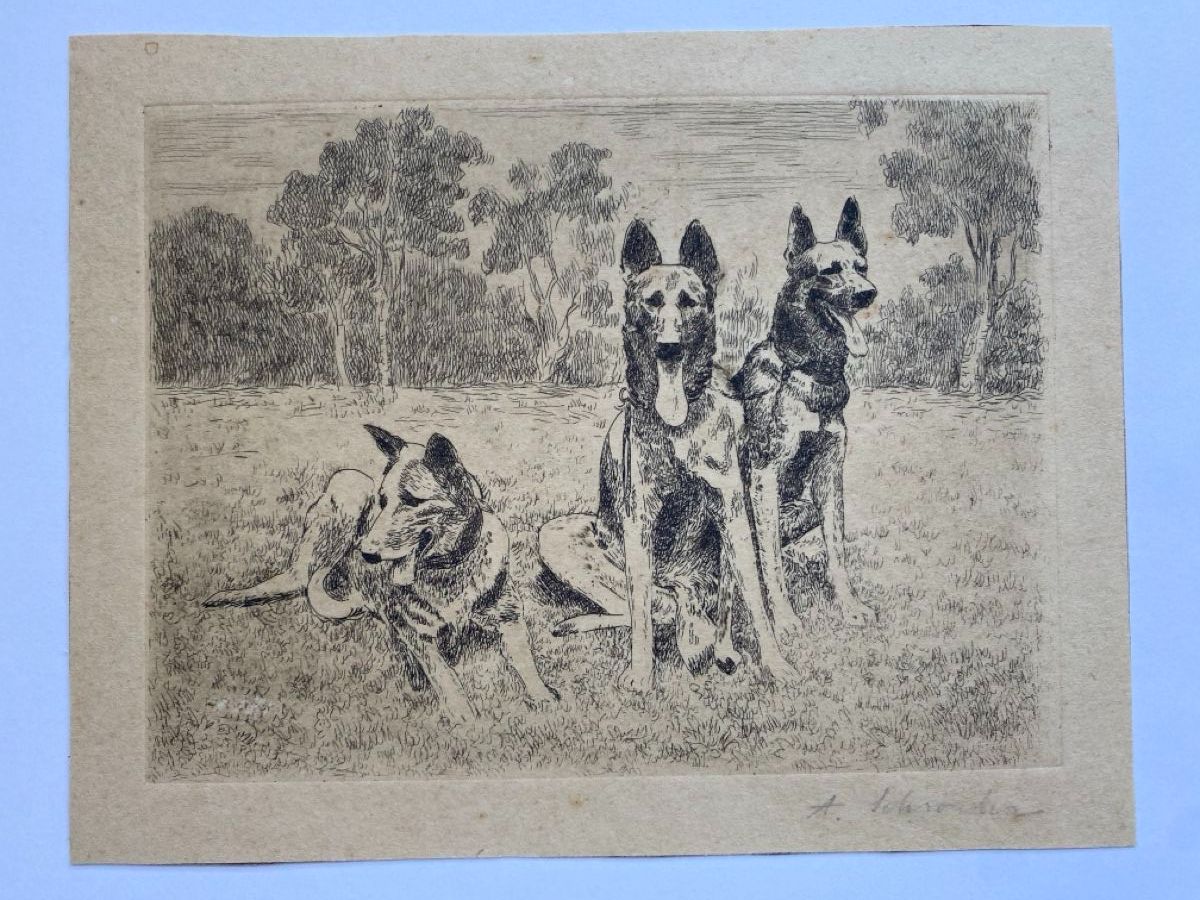 Stiche: Bild  "Schäferhunde", Hunde, schwarz/weiss – Gebraucht aus Dietlikon von VintageStudioZurich 1