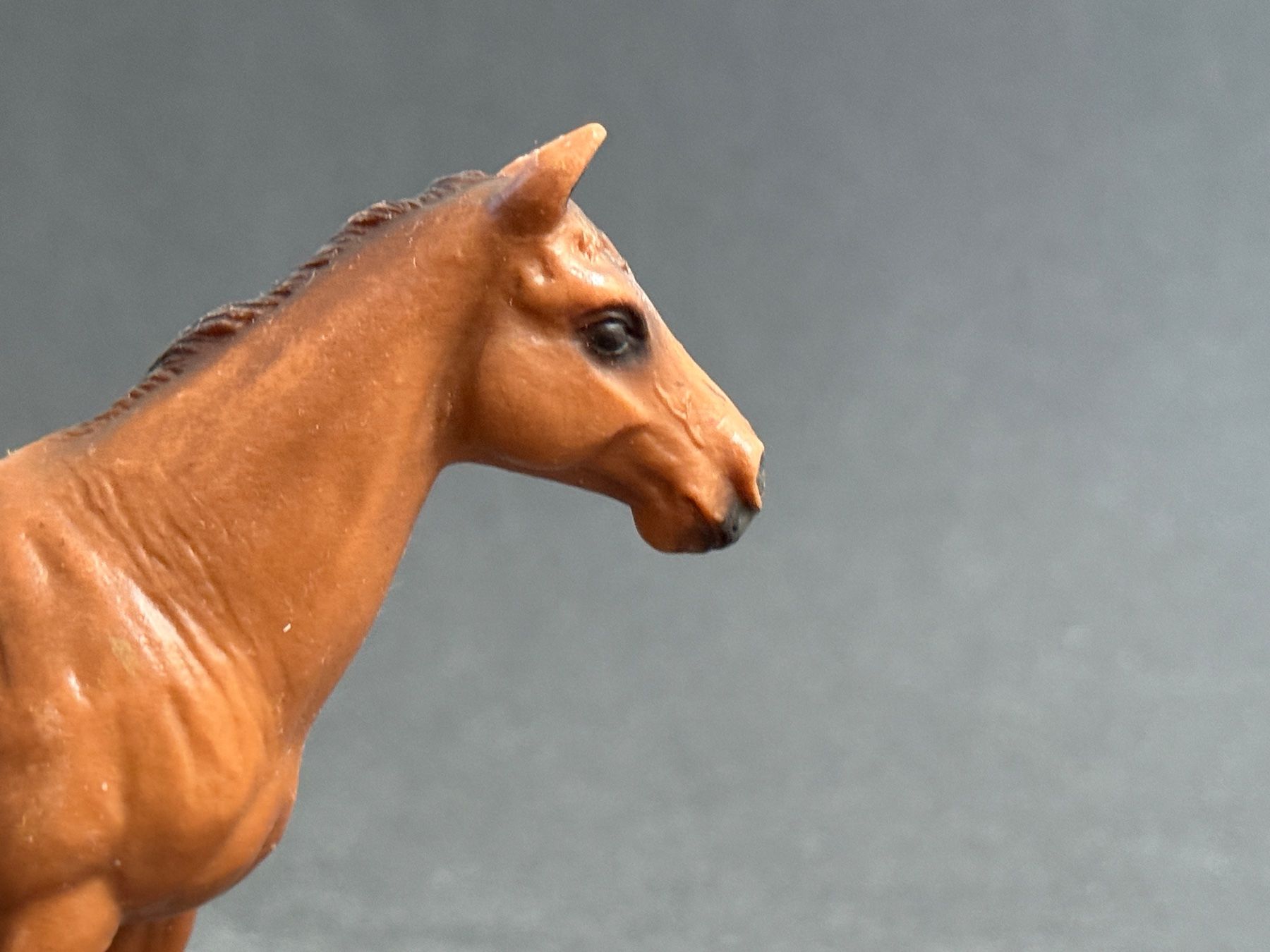 Schleich Figuren: Schleich 13261 Trakehner Stute Pferd – Gebraucht aus Ennetbaden von mapa05 6