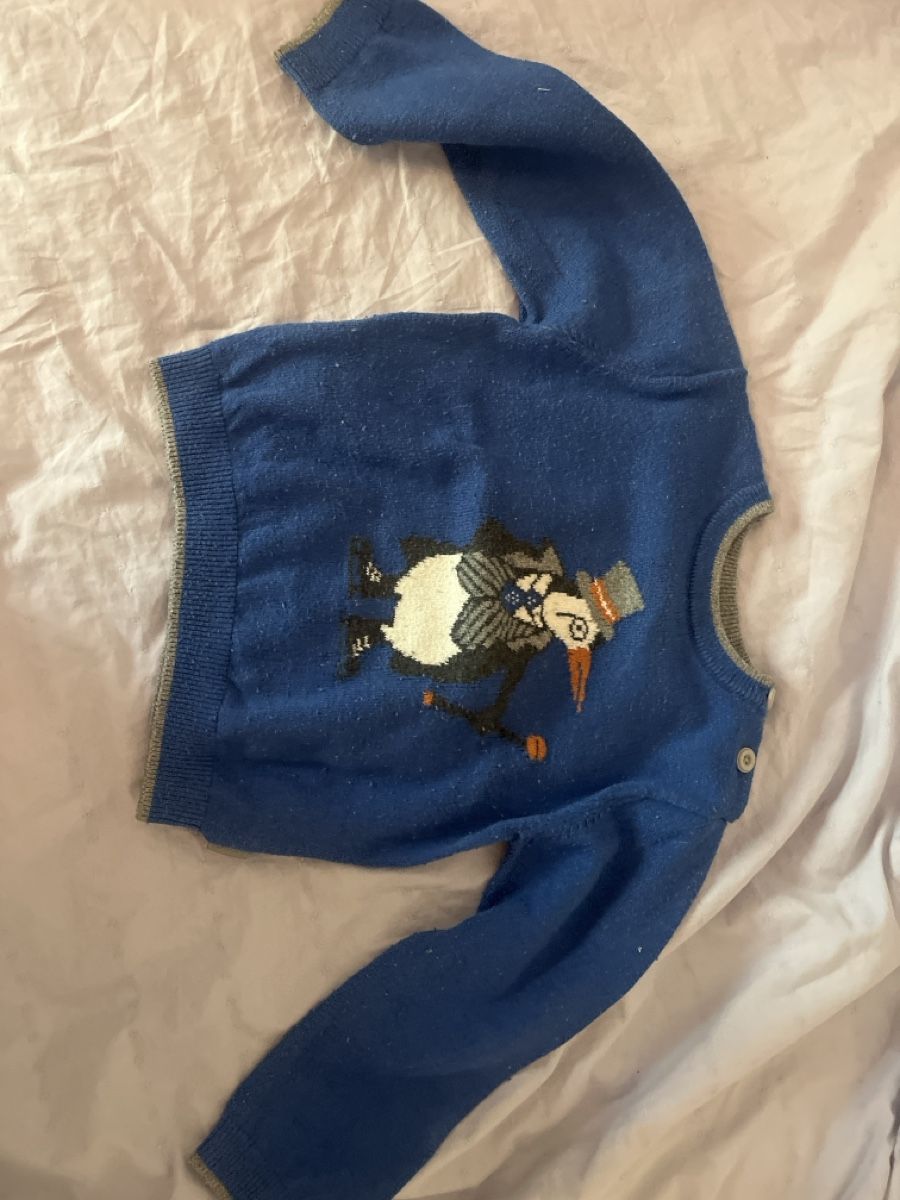 Pulls et sweat-shirts: Pullover  – D'occasion à Dielsdorf par jes_9kx7