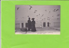 Au bord du Lac Léman-les Mouettes