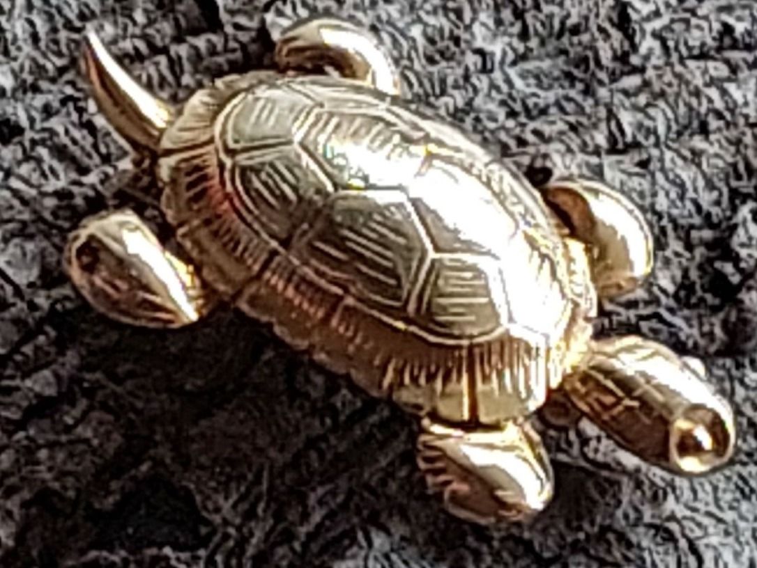 Spille & Fermagli: Brosche Schildkröte - Schmuckstück – Usato da Oberwil BL venduto da Kukkaniitty 4