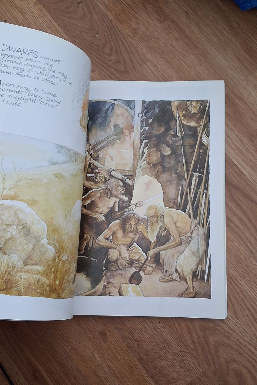Livres: Fantasy-Kunstbuch "Faeries - Anniversary Edition (2002)" – D'occasion à Kloten par Frigo_1 4