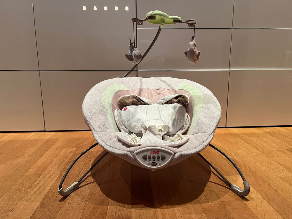 Baby Wippe Fisher-Price (Gebraucht) in Zug für CHF 1 – nur Abholung auf  Ricardo kaufen