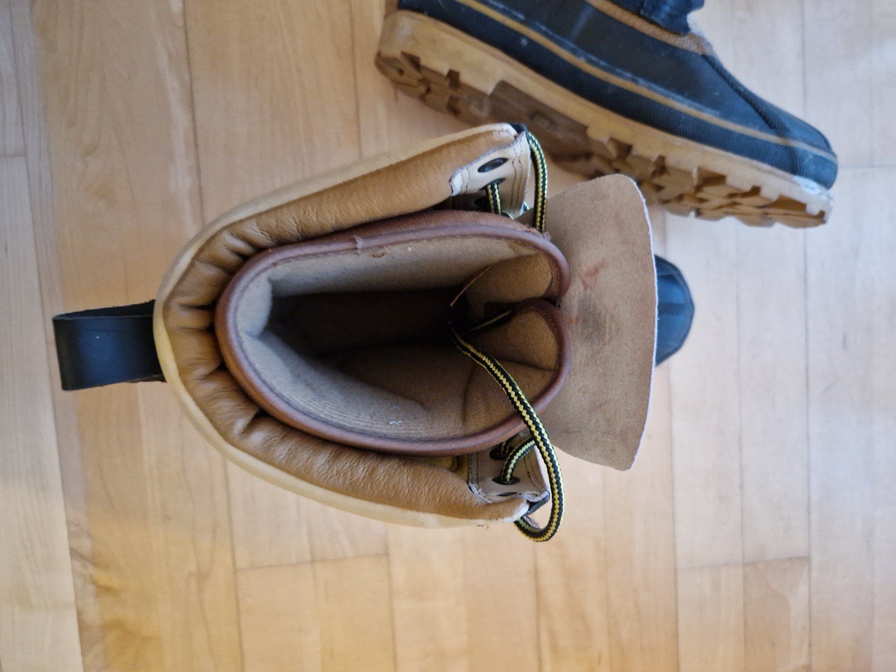 Dachstein Scarpe da uomo: Dachstein Thinsulate Winterstiefel,  Grösse 44 – Nuovo (secondo la descrizione) da Wallisellen venduto da soat 5