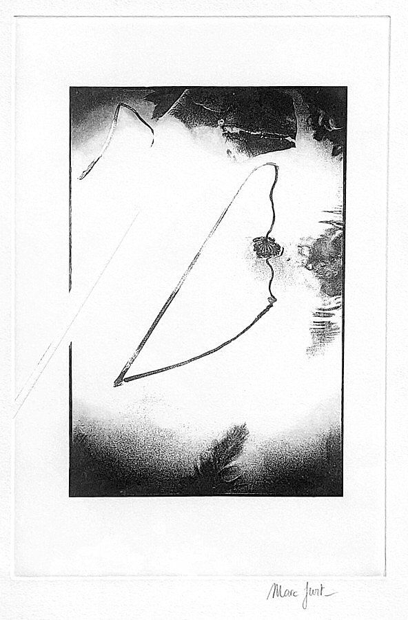 Grafica & Litografie: Litographie Marc Jurt de 1996 – Usato da Leysin venduto da Plongeurfou