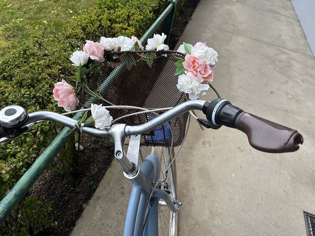 Velos: Vélo femme super état – Gebraucht aus Chêne-Bougeries von nam_v29y 2