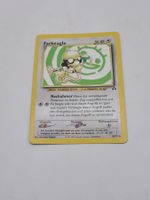Farbeagle - DE Neo Discovery Vintage Pokemon Karte