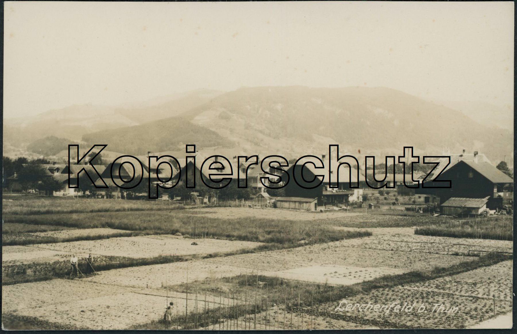 Cartoline postali: BE Lerchenfeld - Thun – Nuovo (secondo la descrizione) da Schindellegi venduto da leecollect