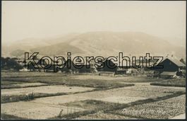 BE Lerchenfeld - Thun
