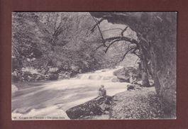 Gorges de l'AREUSE - Un sous-bois - 1915