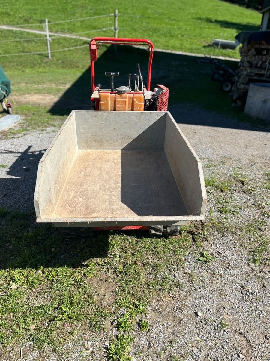 Autoribaltabili: YANMAR Raupendumper / 780kg – Usato da Stein AR venduto da Krison98 6