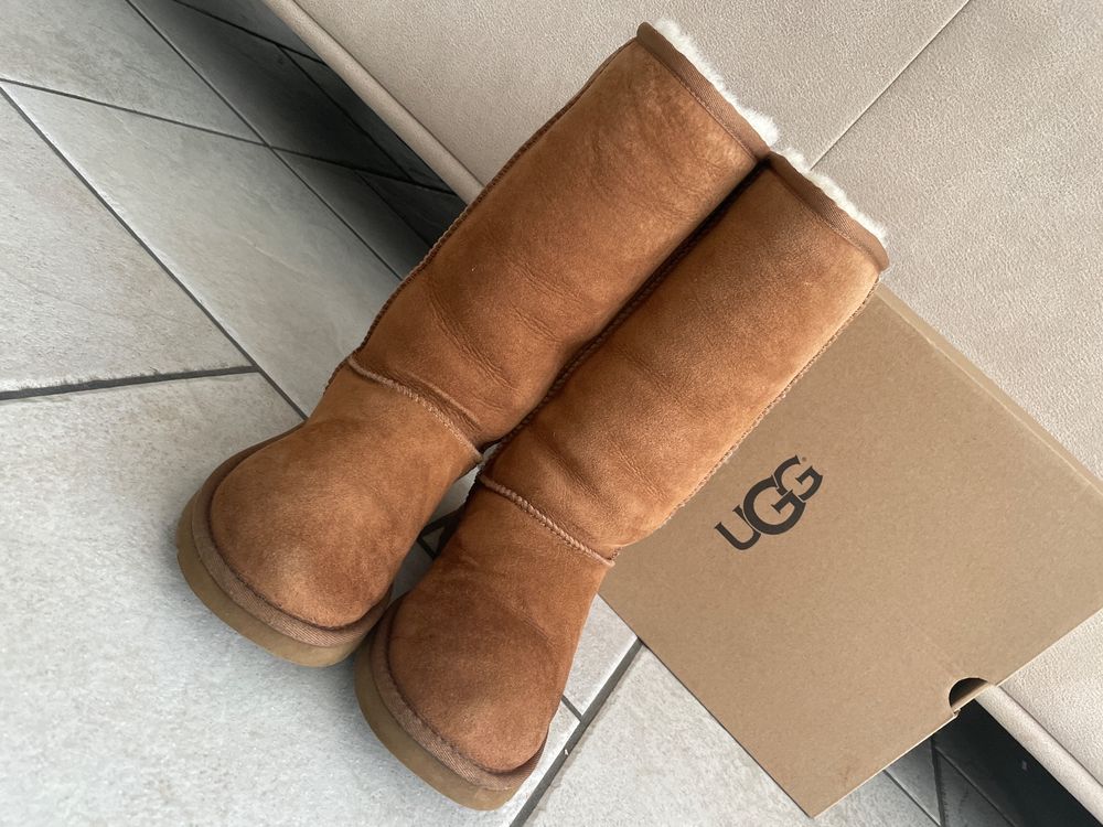 Ugg hotsell australia stiefelette