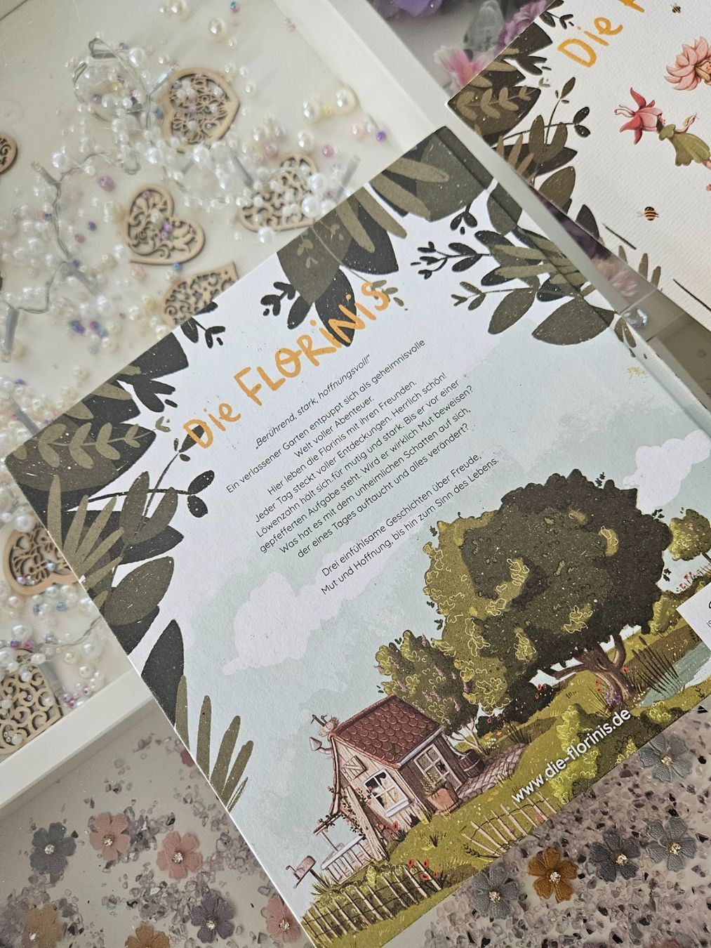Libri: Buch Die Florinis mit Karte – Usato da Unterägeri venduto da Sleepbear 3