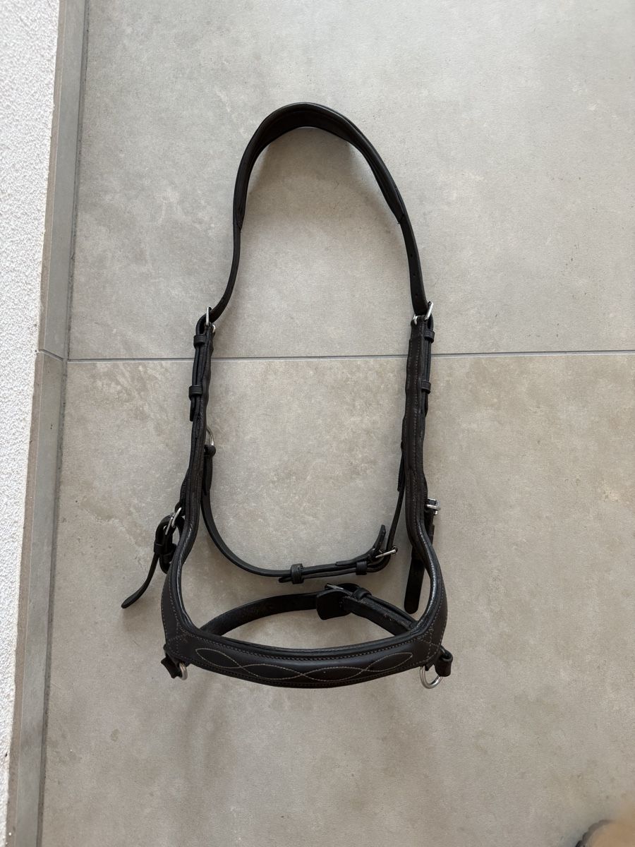 Briglie & Cavezze: Schönes Rambo Micklem WB-XL – Usato da Goldingen venduto da Wibli96 3