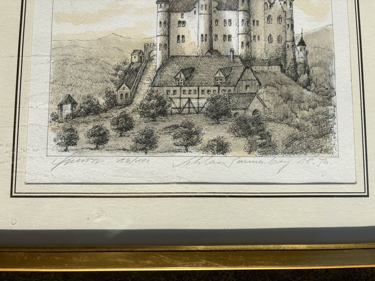Grafica & Litografie: Schloss Sonnenberg, handkoloriert durch C. Schweizer – Usato da Frauenfeld venduto da Fubech 1