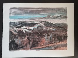 FRED BAUMANN SIGNIERT NUMMERIERT LITHOGRAPHIE