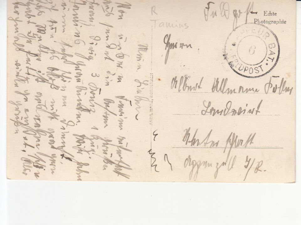 Cartoline postali: Tamins ca. 1925 – Usato da Bürglen TG venduto da StampGraf 1