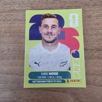 Panini NZL17Chris Wood 