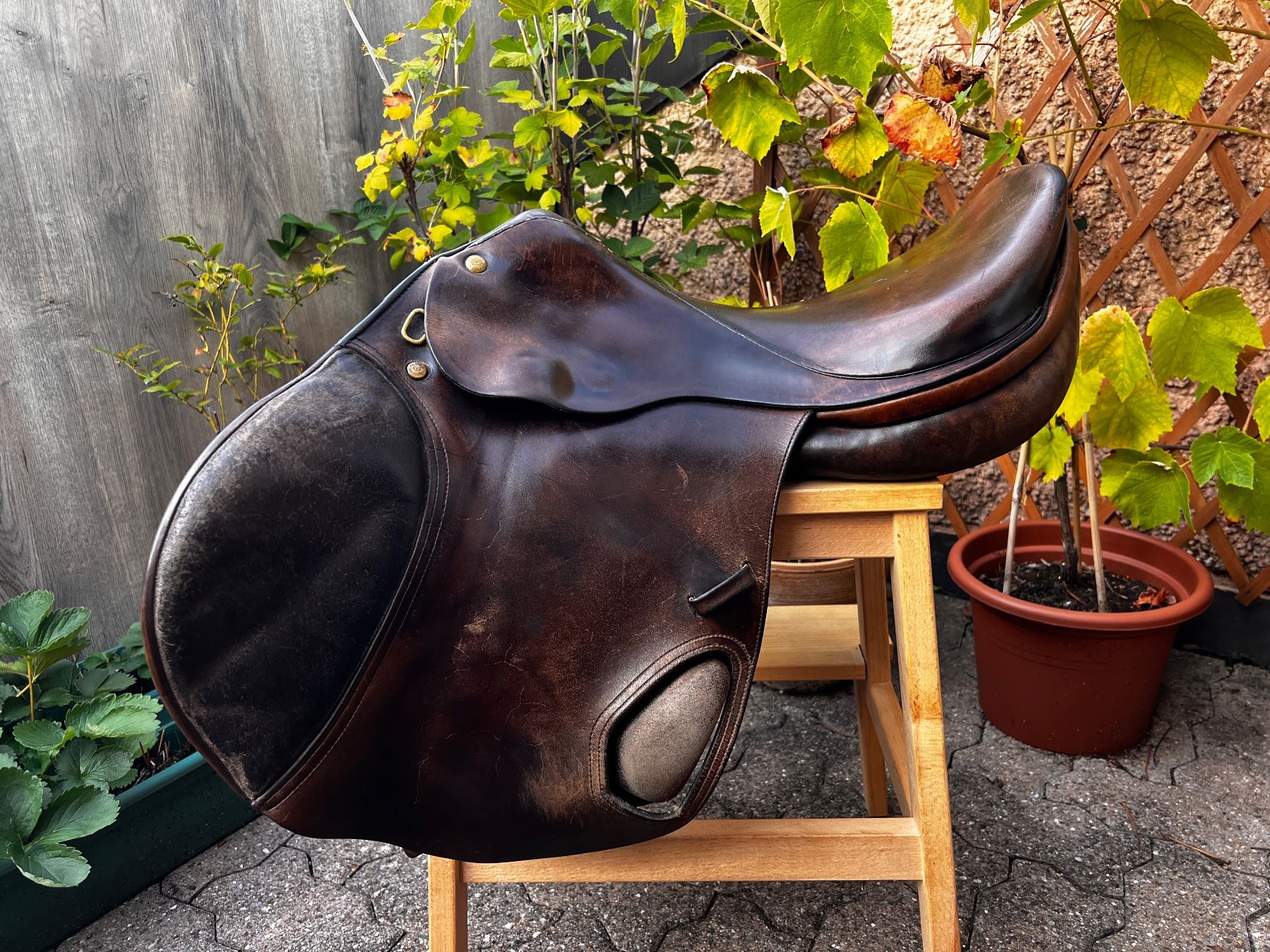 Selle & Accessori: Sattel – Usato da Oetwil am See venduto da Katami7