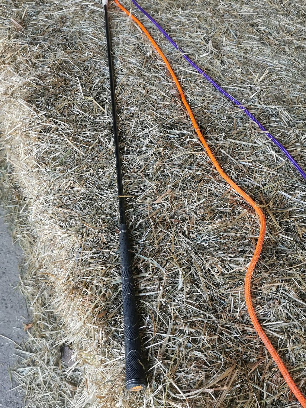 Altro in Accessori per animali: Parelli Carrot Stick – Usato da Konolfingen venduto da fury04