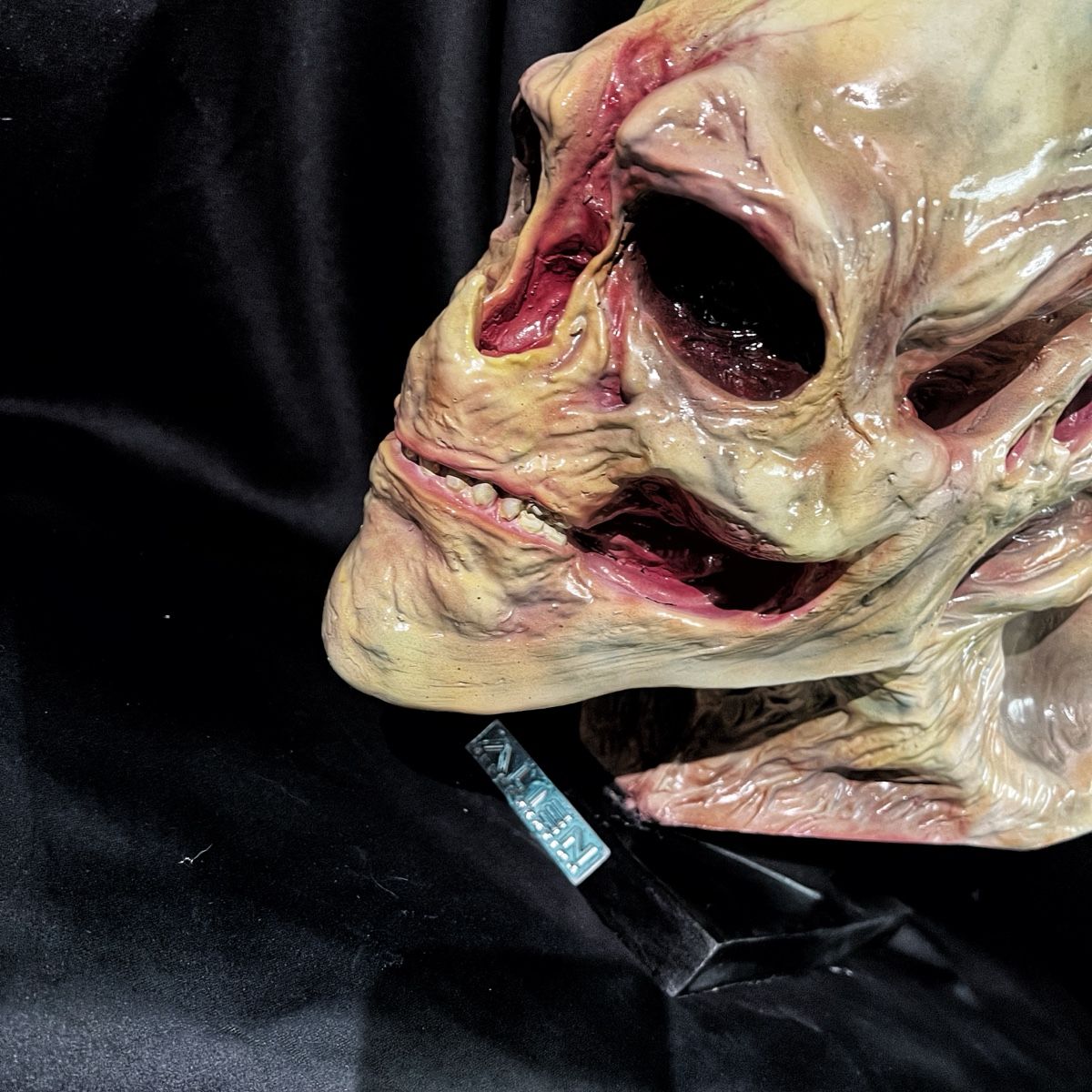 Statuette: 1:1 ALIEN Resurrection Büste, wie Coolprops Sideshow – Nuovo (secondo la descrizione) da Glattfelden venduto da Ak_5bL 3
