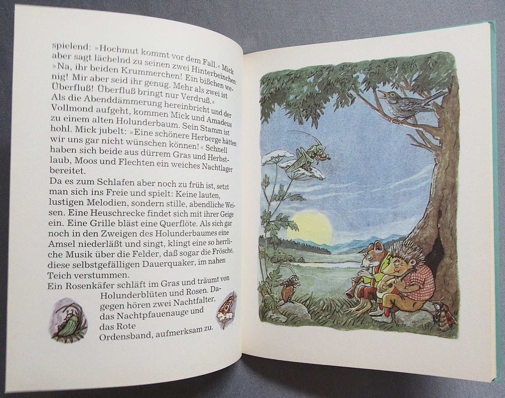Libri: Amadeus Knabberzahn - Die Abenteuer des Mäusevaters – Usato da Auenstein venduto da Padabimbim 2