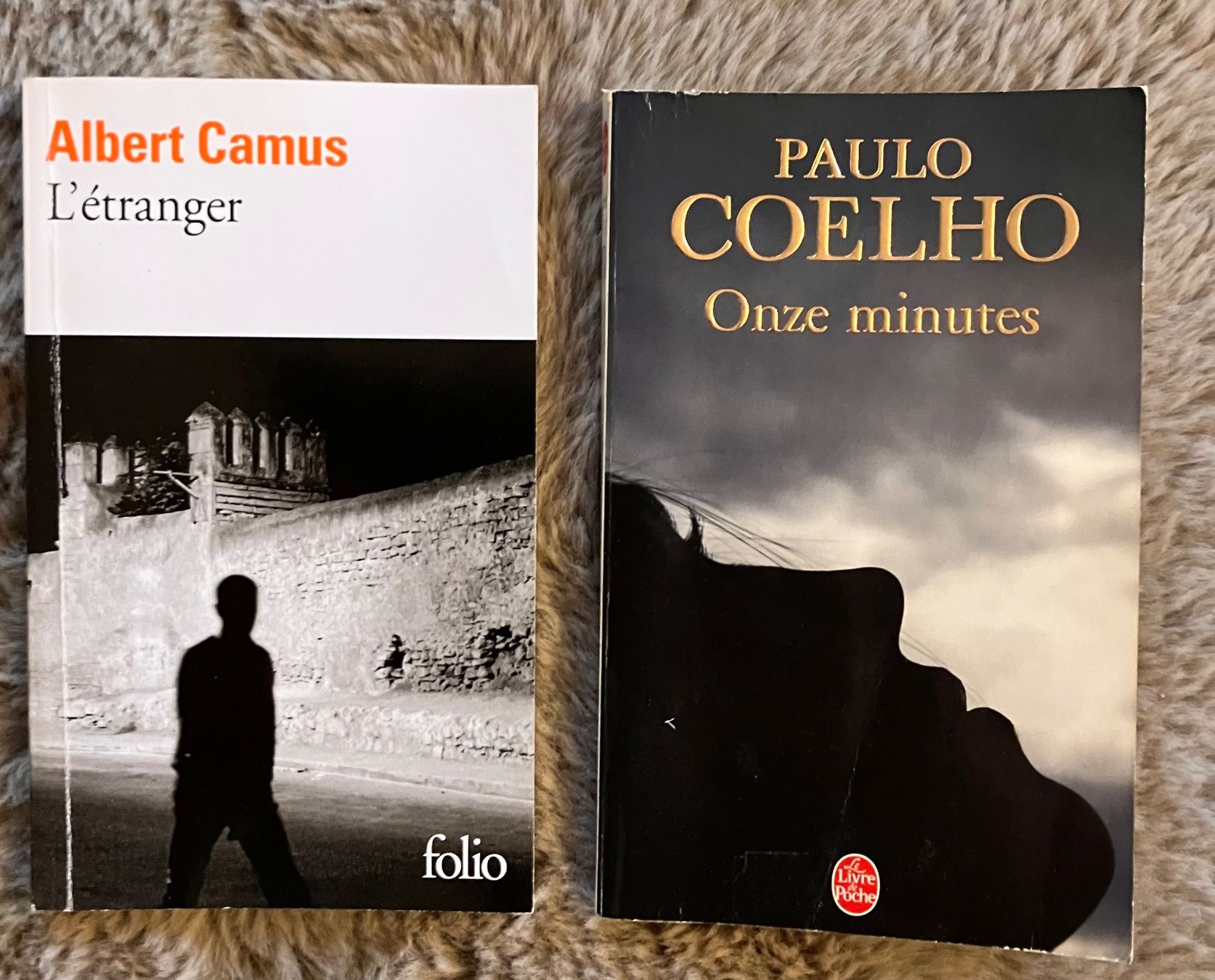Libri: 8 (3+3+2) romans captivants – Usato da St-Triphon venduto da chamacapac 2