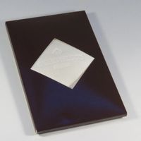 Patek Philippe Finest Cleaning Microfiber Cloth Tissue 👌