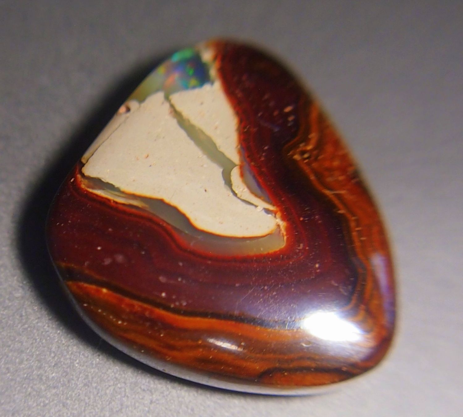 Pietre preziose: 34,6 ct. Koroitopal mit Opalfunken AAA! – Nuovo e nell'imballaggio originale da Reinach BL venduto da blumarco 5