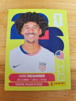 Panini FIFA World Cup USA 3