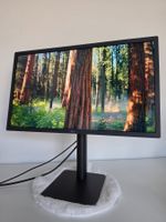 LG UltraFine 24MD4KL-B 24" 4K Monitor – für MacBook