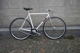 Weisses Singlespeed Velo mit Campagnolo Komponenten