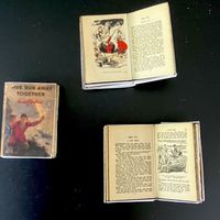 Kinderbuch (Enid Blyton "Fünf Freunde") f/Puppenstuben.