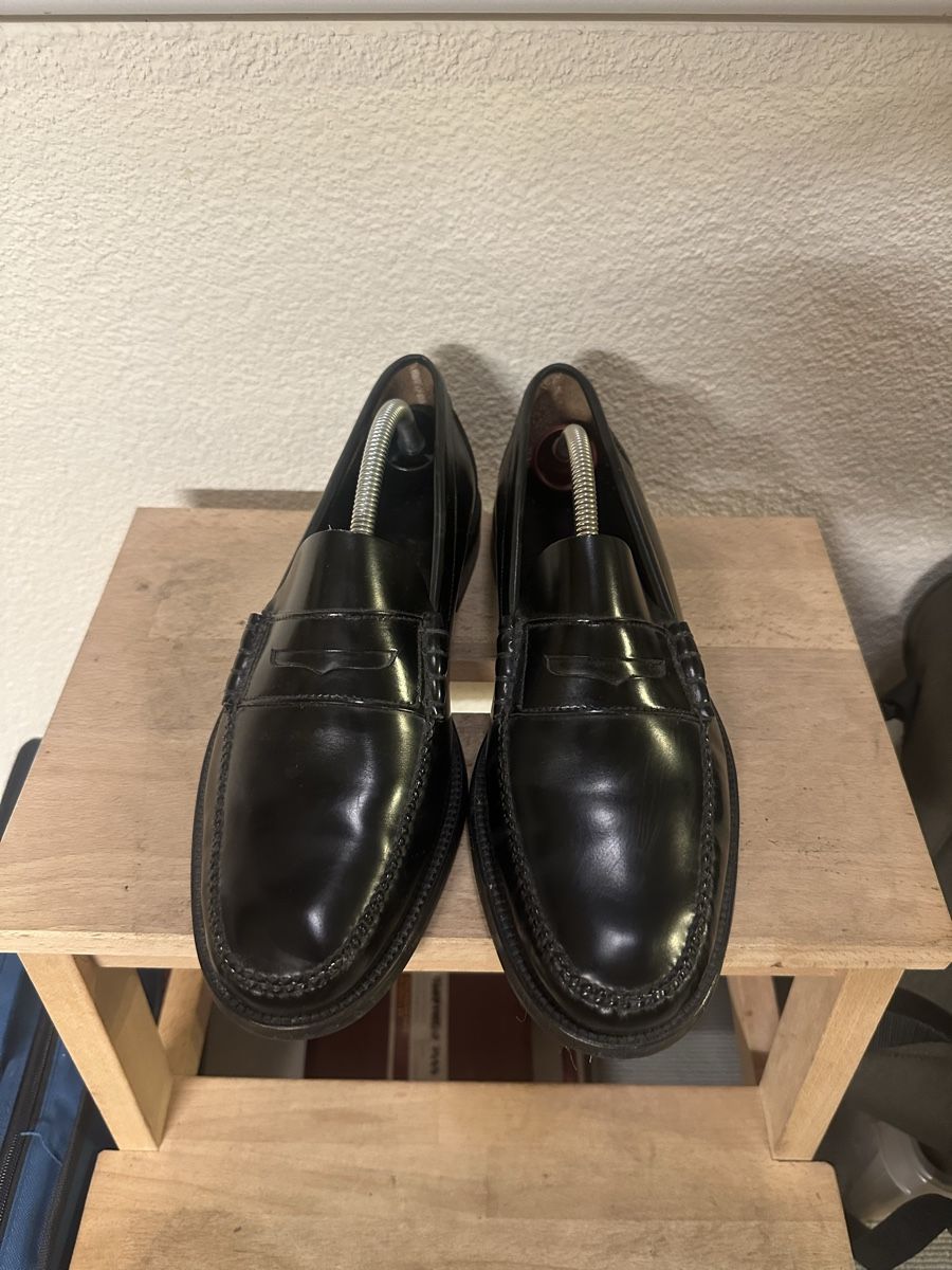 Scarpe da uomo: Castellano Penny Loafer leder 42.5 – Nuovo (secondo la descrizione) da Männedorf venduto da willywonka14 2